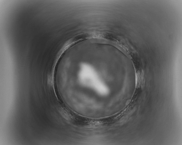 X0000115640195200911171429