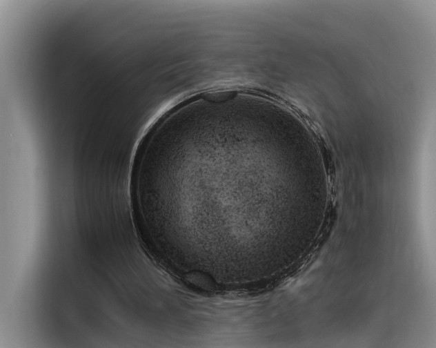 X0000115640196200911171429