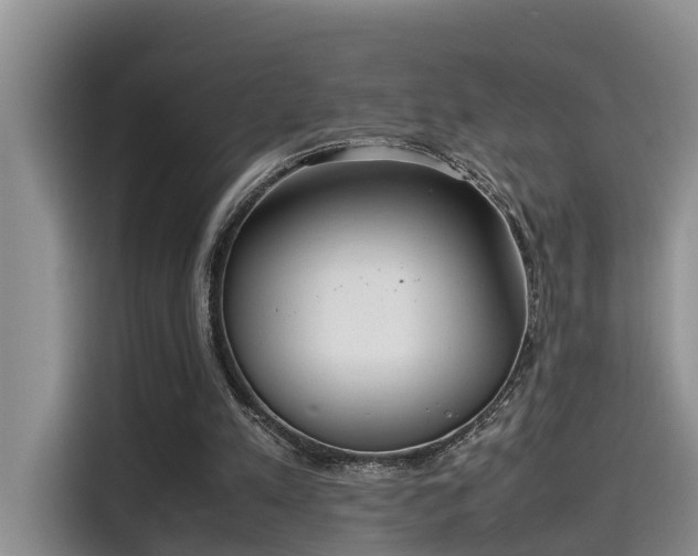 X0000115640197200911171429