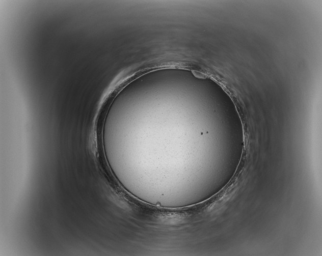 X0000115640198200911171429