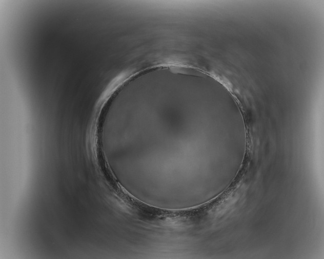 X0000115640199200911171429