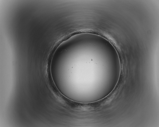 X0000115640201200911171429