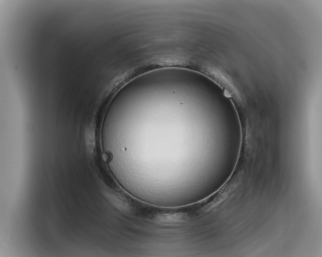 X0000115640202200911171429