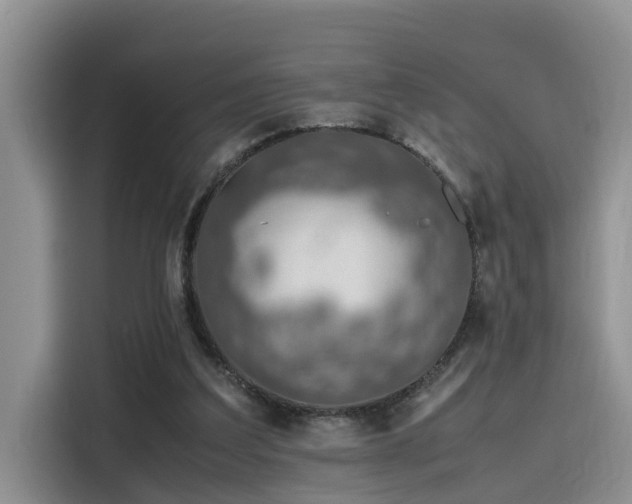 X0000115640203200911171429