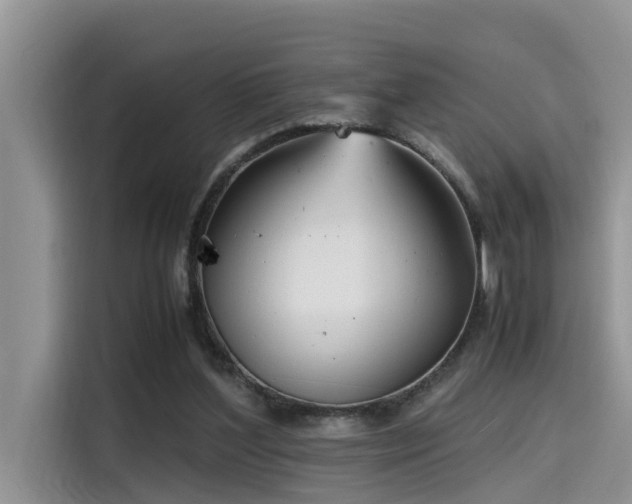 X0000115640204200911171429