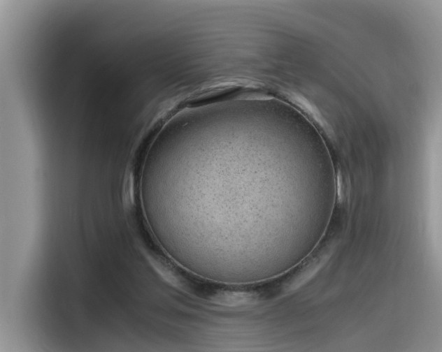 X0000115640205200911171429