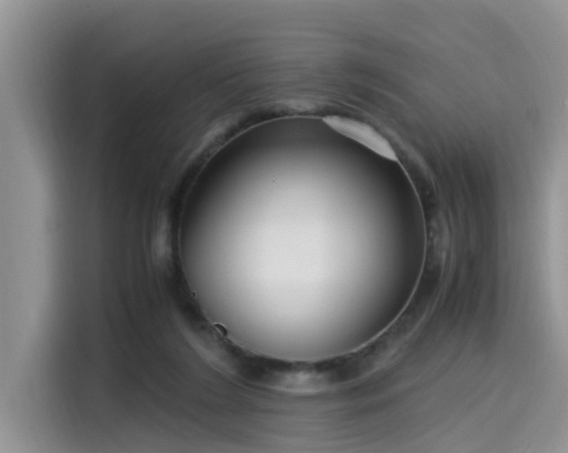 X0000115640212200911171429