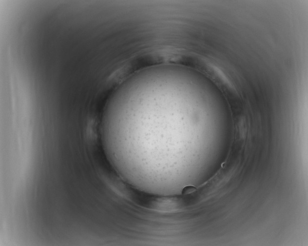 X0000115640218200911171429