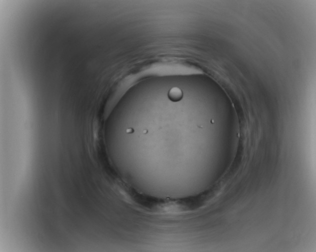 X0000115640219200911171429