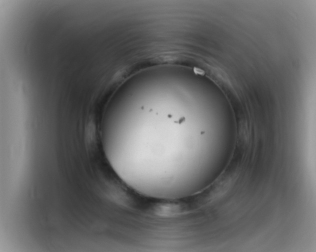 X0000115640220200911171429