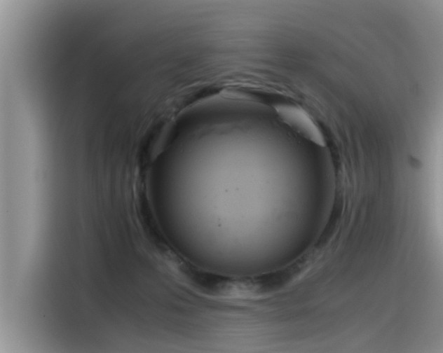 X0000115640223200911171429