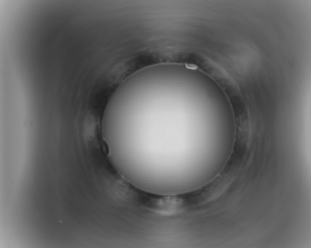 X0000115640225200911171429