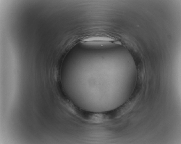 X0000115640227200911171429