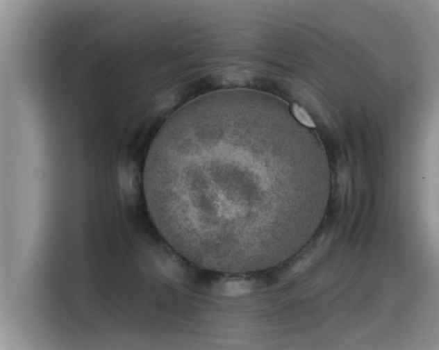 X0000115640228200911171429