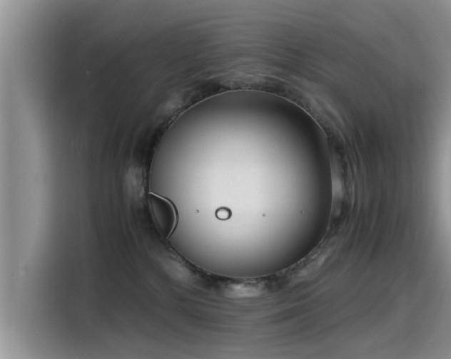 X0000115640232200911171429