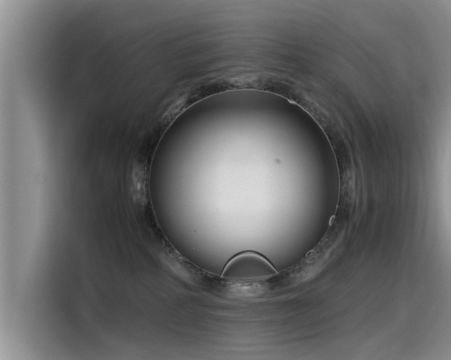 X0000115640234200911171429