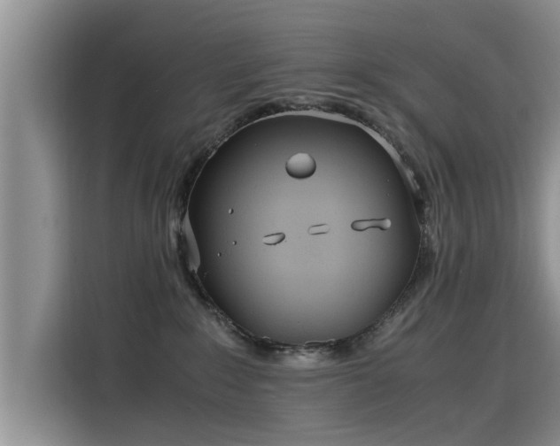 X0000115640235200911171429