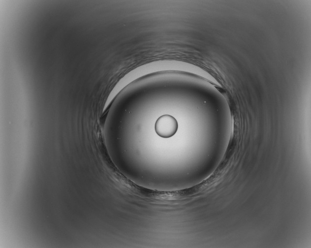 X0000115640237200911171429