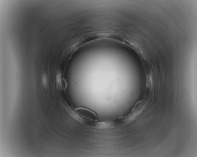 X0000115640238200911171429