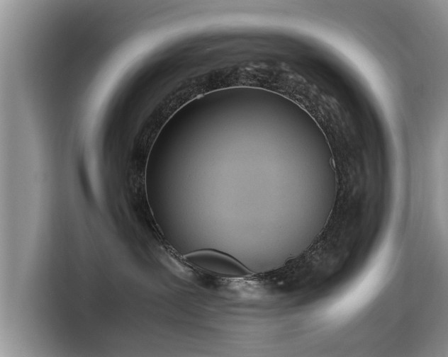 X0000115640239200911171429