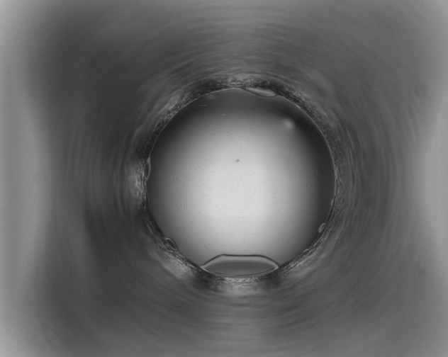 X0000115640240200911171428