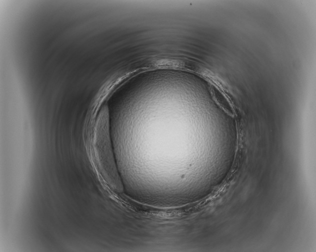 X0000115640241200911171428