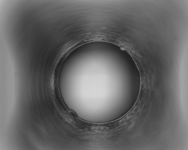 X0000115640242200911171428