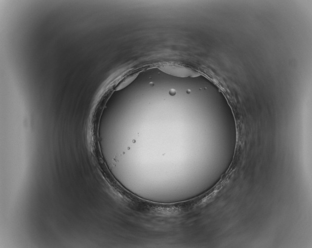 X0000115640245200911171428