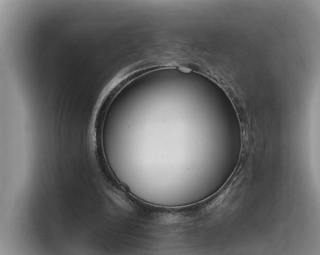 X0000115640246200911171428