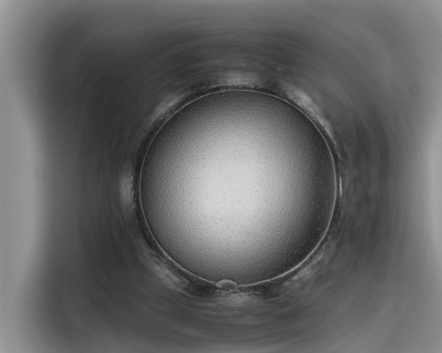 X0000115640249200911171428