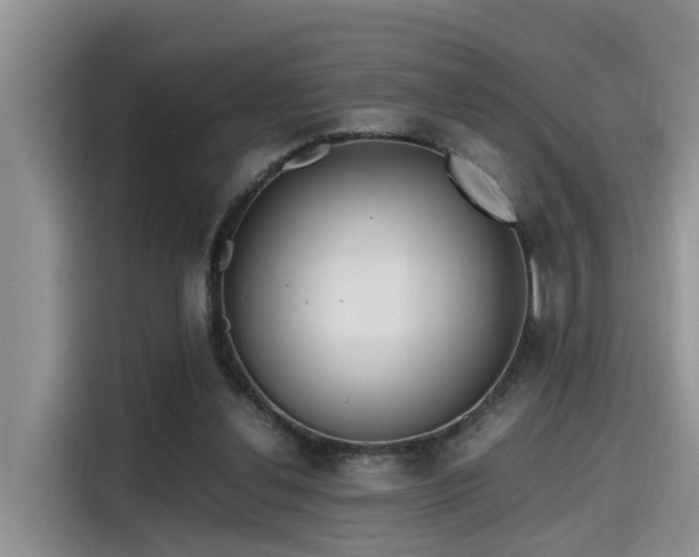 X0000115640252200911171428