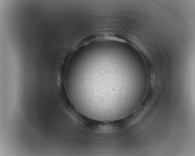 X0000115640259200911171428