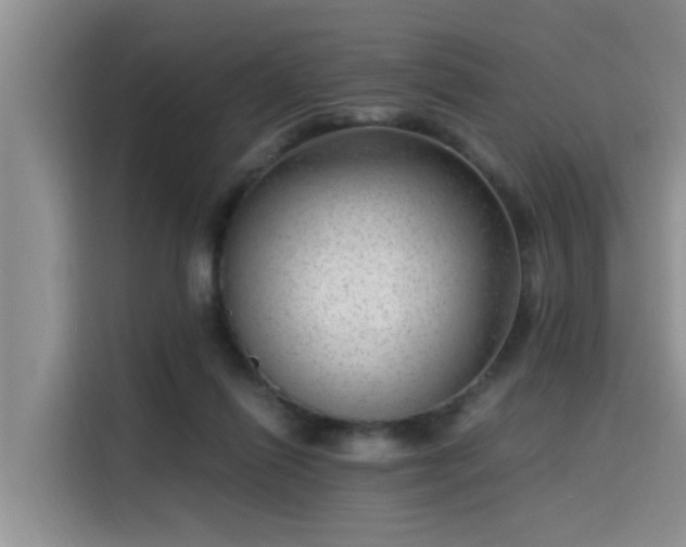 X0000115640262200911171428