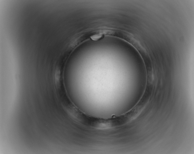 X0000115640263200911171428