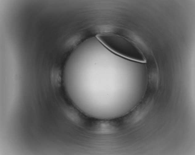 X0000115640264200911171428