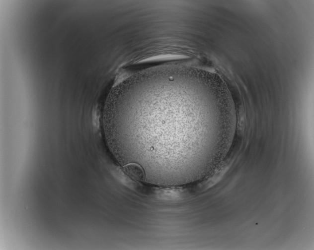 X0000115640282200911171428