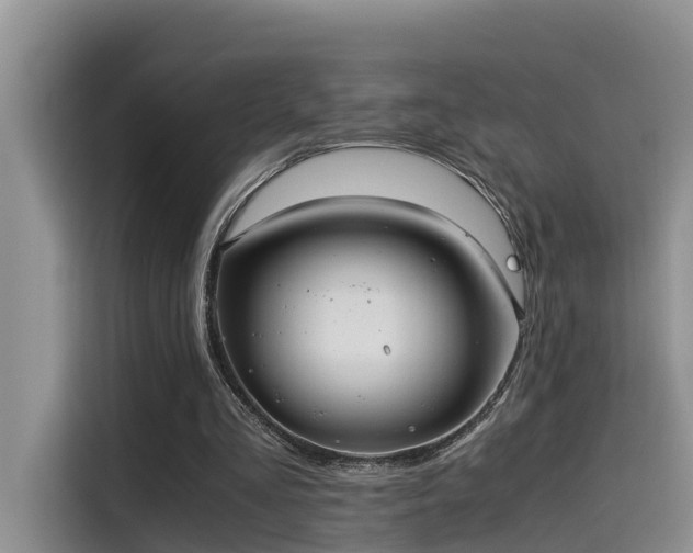 X0000115640293200911171428