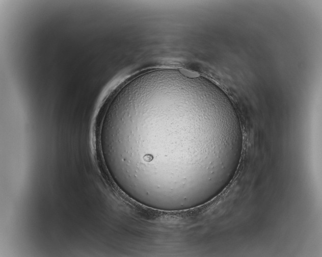 X0000115640294200911171428