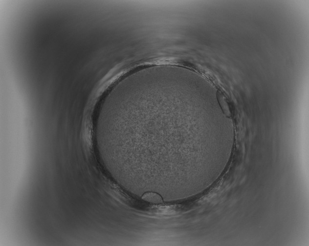 X0000115640295200911171428