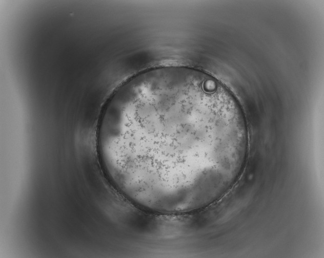 X0000115640297200911171428