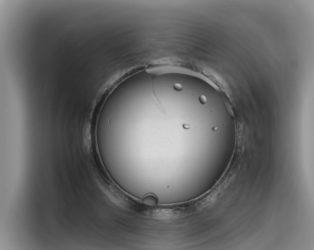 X0000115640298200911171428