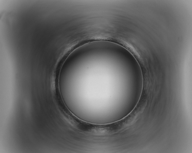 X0000115640299200911171428