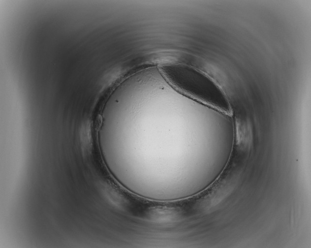 X0000115640300200911171428