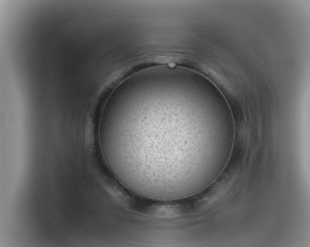 X0000115640303200911171428