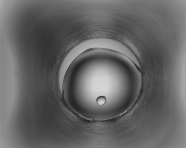 X0000115640305200911171428