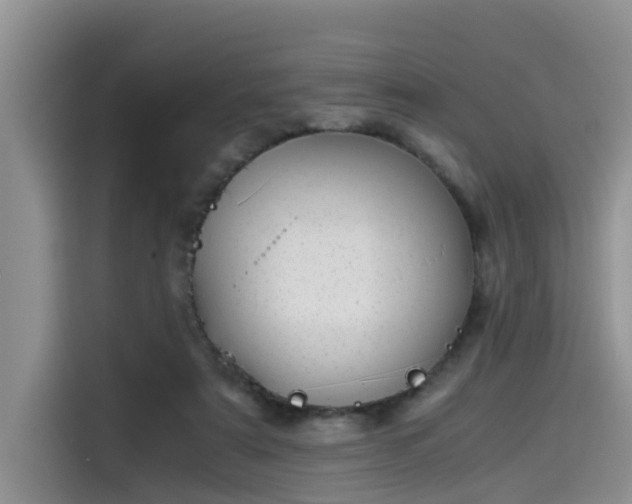 X0000115640307200911171428