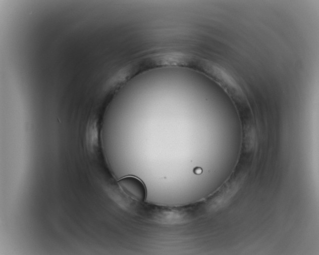 X0000115640310200911171428