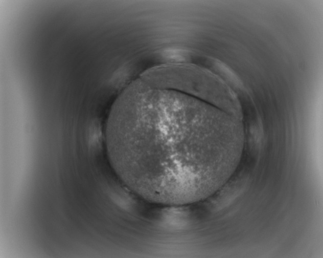 X0000115640320200911171427