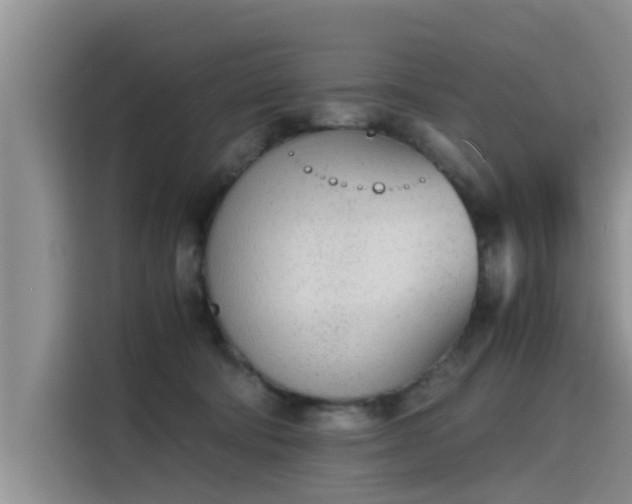 X0000115640322200911171427