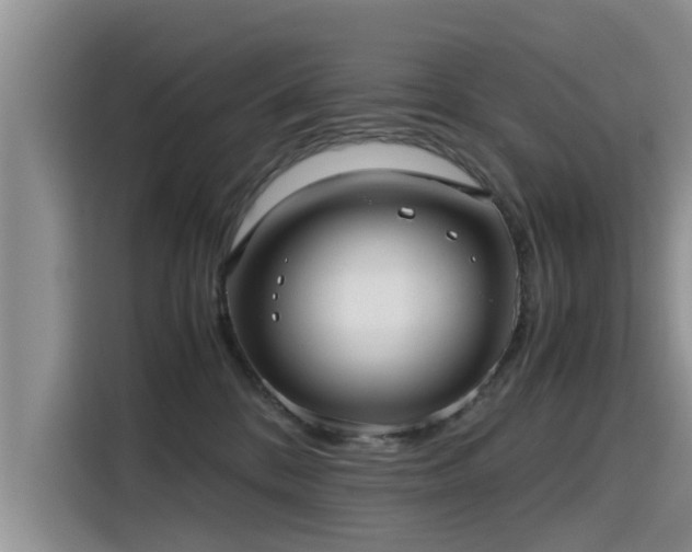 X0000115640328200911171427